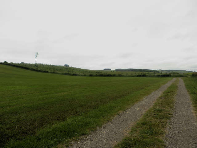 Farm track beside a grass field