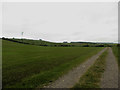 NY1234 : Farm track beside a grass field by Graham Robson