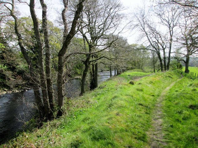 Nidderdale  Way  alongside  the  River  Nidd