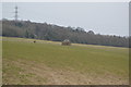 Farm outbuilding