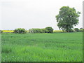 SE3978 : Farmland south of East Lodge Farm by Mike Quinn