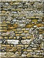 Dengie church: walling materials (2)