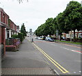 Tree-lined Birchgrove Road, Cardiff