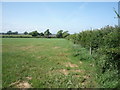 NY2149 : Farmland and hedgerow by JThomas
