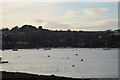 View across the Tamar to the Coombe by Saltash Viaduct