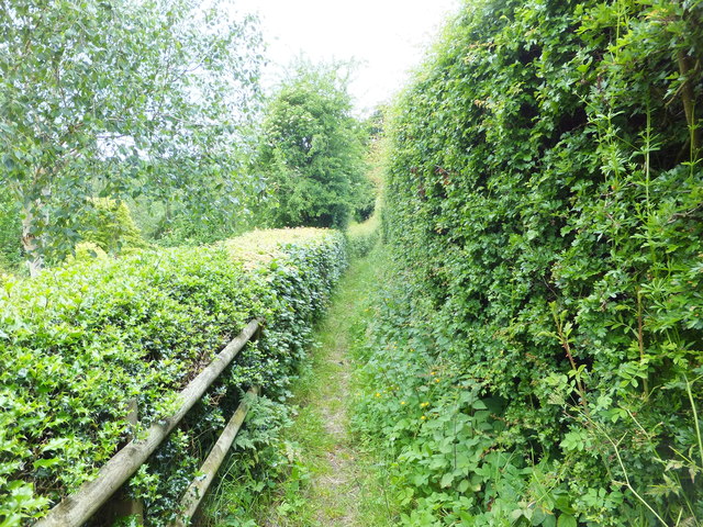 Well kept footpath to Bwlchgwyn © John Haynes cc-by-sa/2.0 :: Geograph ...