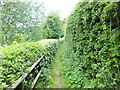 Well kept footpath to Bwlchgwyn