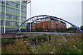 Footbridge, River Don