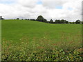 Lisconrea Townland