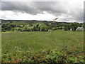 Lisconrea Townland