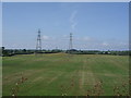 NY2951 : Grassland with pylons by JThomas