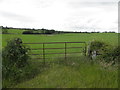 Gate, Corbally