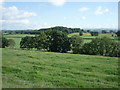 Grassland near Bankend