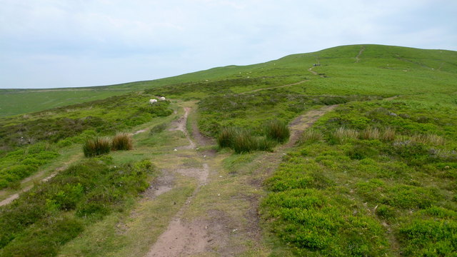 Diverging paths © Jonathan Billinger cc-by-sa/2.0 :: Geograph Britain ...