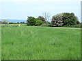 Farmland southeast of Low House