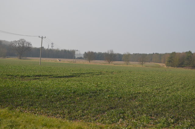 Crops near the M11