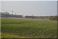 TL4155 : Crops near the M11 by N Chadwick