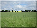 W8492 : Grassfield, Castlelyons by Jonathan Thacker