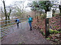 Llwybr Tyle Morgrug / Tyle Morgrug path