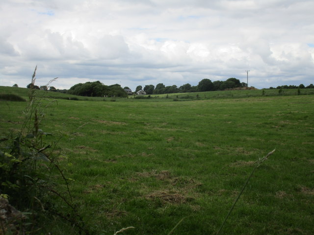 Grassland at Aghern © Jonathan Thacker cc-by-sa/2.0 :: Geograph Britain ...