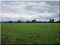 W9092 : Grassland near Aghern by Jonathan Thacker