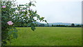 Usk flood plain