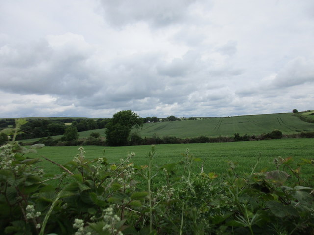 Grass fields © Jonathan Thacker :: Geograph Ireland