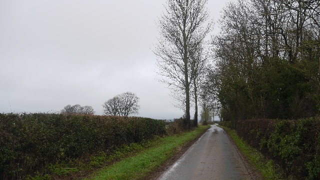 Road from Wickton