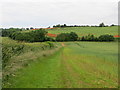 Field Edge Footpath - Leeds Country Way - descending to Copple Syke Spring