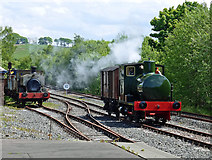 NS4408 : Fireless Steam at Waterside by Mary and Angus Hogg
