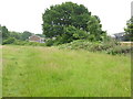 Grassy footpath going east behind housing