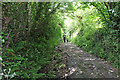 Derelict road at Waterhouse Lane