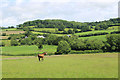 The Yarty Valley below Three Ash