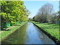 The New River by Severn Drive, EN1