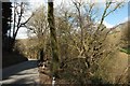 Road down Derricombe