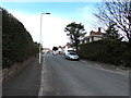 Hedges and houses, King