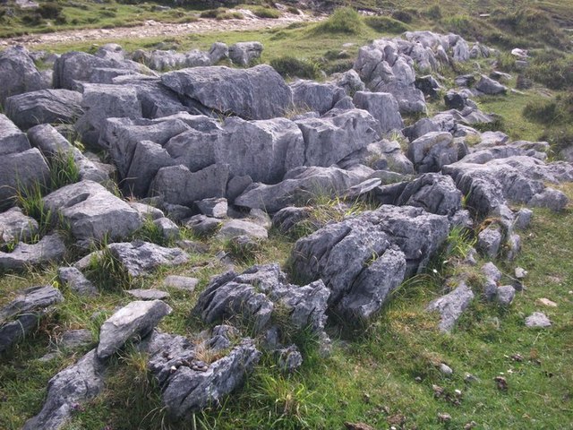 Limestone Pavement (Durness Limestone), nr Torrin, Isle of Skye