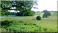 Footbridge on the edge of Eastnor Park