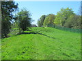 Embankment on the line of the New River south of Turkey Brook (2)