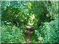 Footpath to the east of Ryton