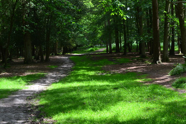 Path towards Anderwood car park