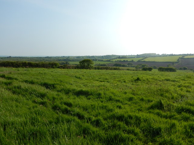Field near Higher Kerris Farm