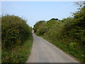 Narrow Rural Road near Higher Kerris Farm