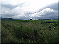 Farmland at Strathy near Aberuthven