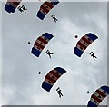 TA3108 : RAF Falcons parachute display team in action by Steve  Fareham
