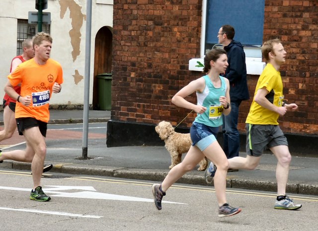 Hyde 7 Road Race: A group of runners