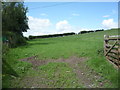 Field, Ednam Hill