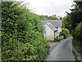 Chalk Pit Lane, Litton Cheney