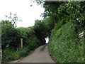 Lane above Spurway Farm