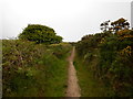 Bridleway near Embla Vean